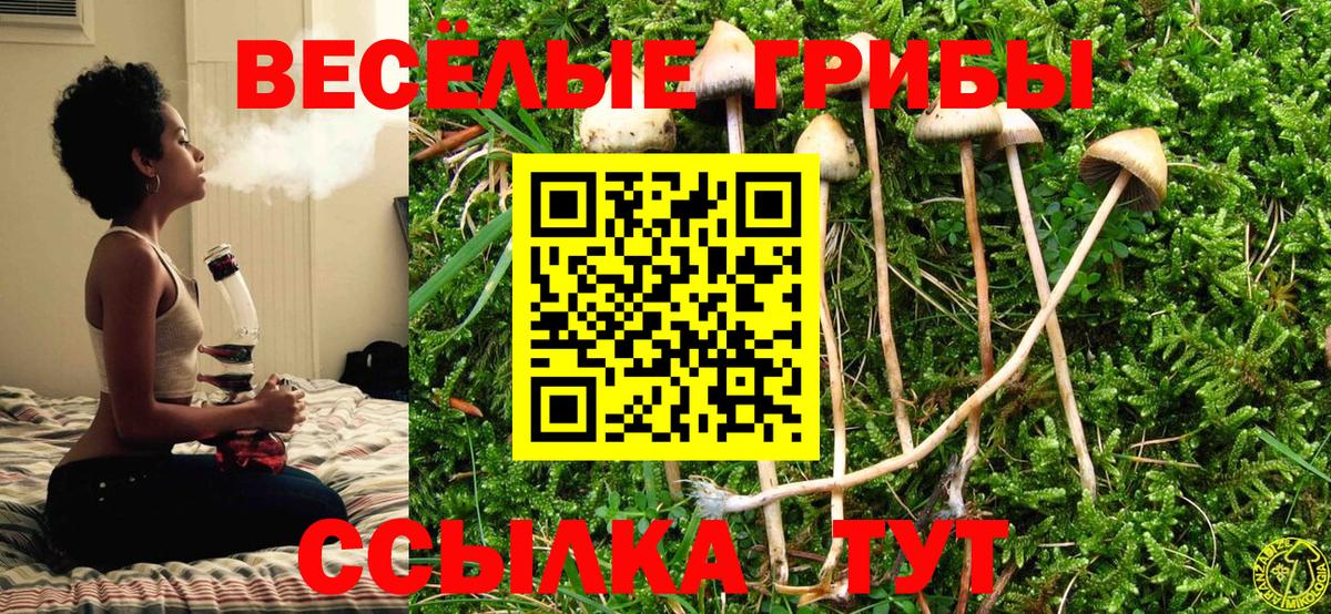 Галлюциногенные грибы MAGIC MUSHROOMS  Вход с VPN  Россия 