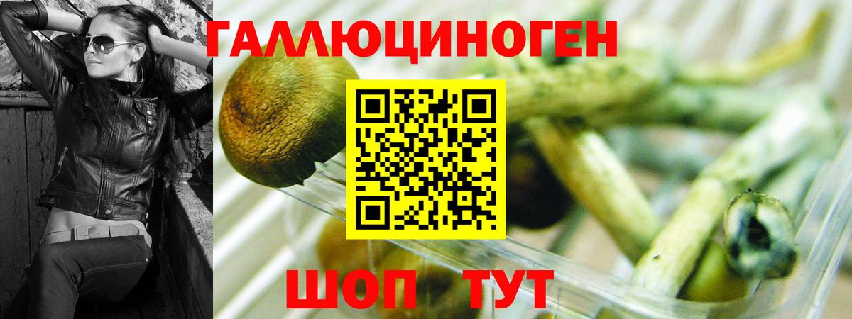 ГЕРОИН Россия